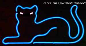 cat-neon