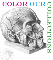 From the Oregon Health & Science University's colouring book